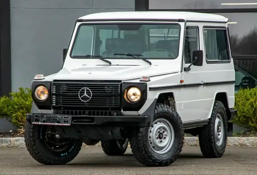 Mercedes G 230 GE / 250 GD / 290 GD / 290 GDT