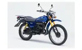 Suzuki TF125