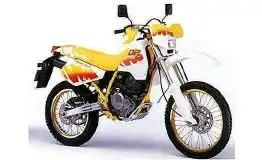 Suzuki DR250