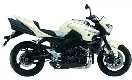 Suzuki GSX1300 B-King