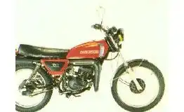 Suzuki TS100