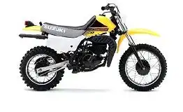 Suzuki DS80