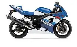 Suzuki GSX-R600