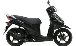 Suzuki Address 110