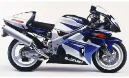 Suzuki TL1000