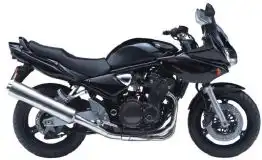 Suzuki GSF1200S