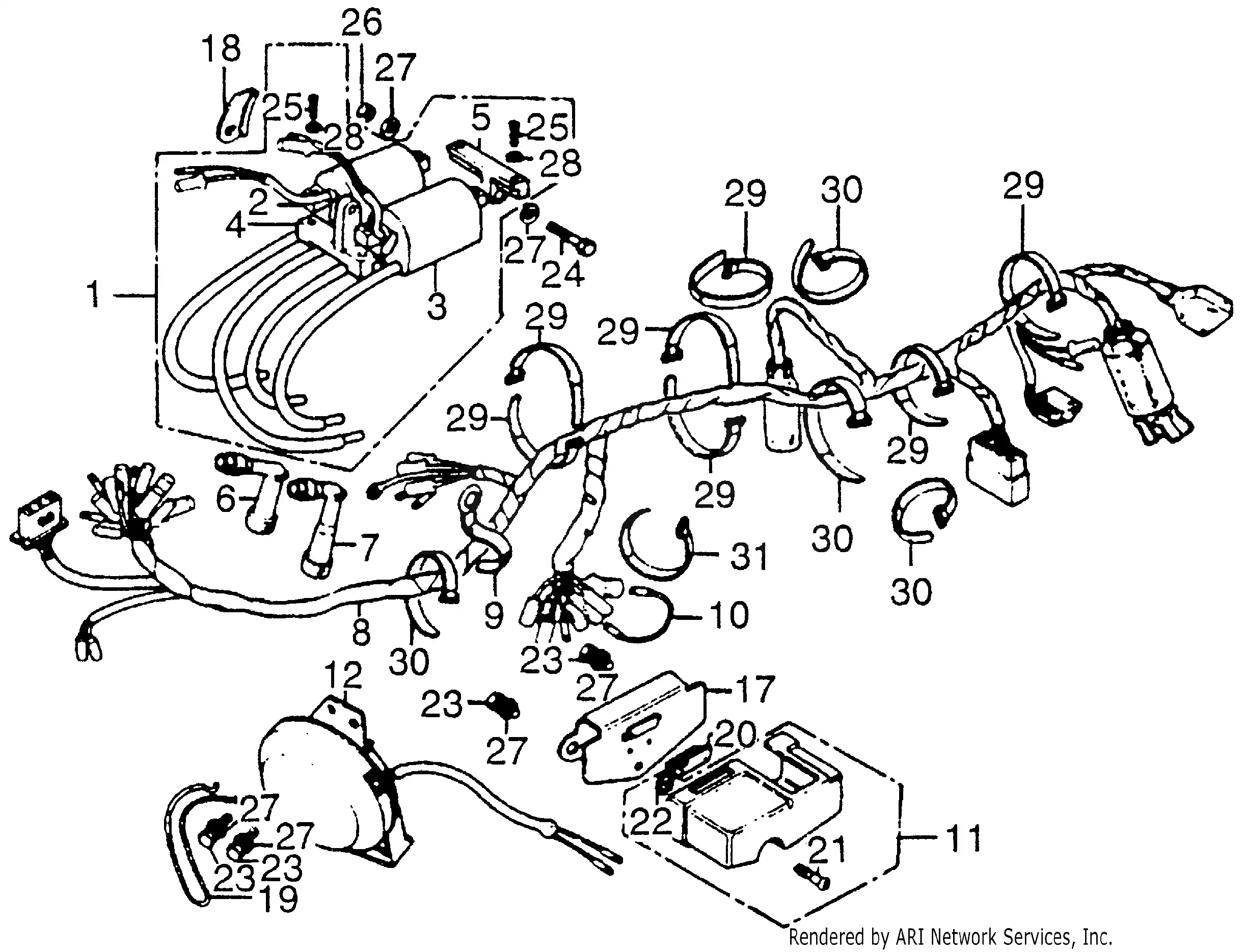 Wire Harness + Ignition Coil + Horn