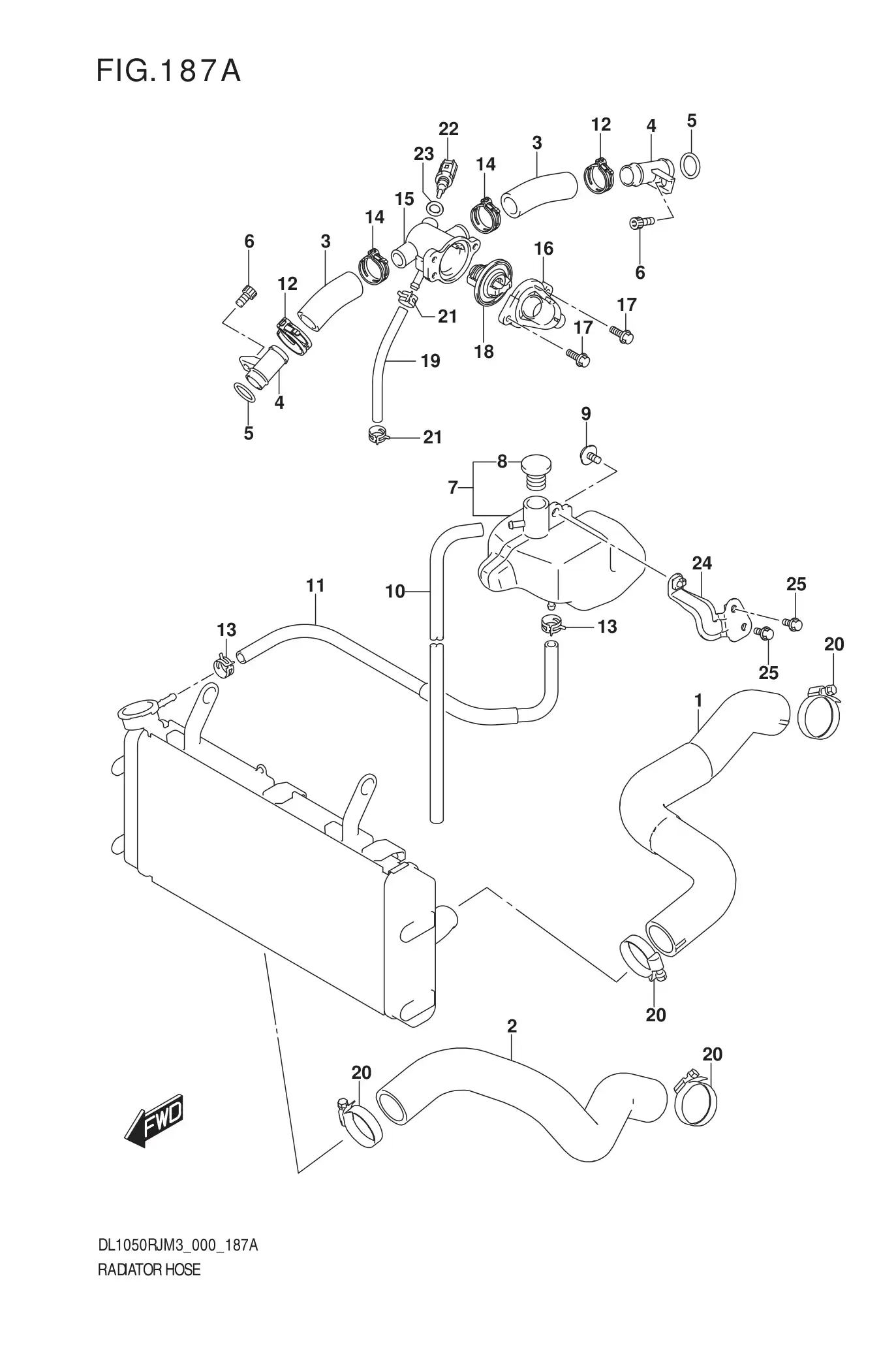 Radiator Hose