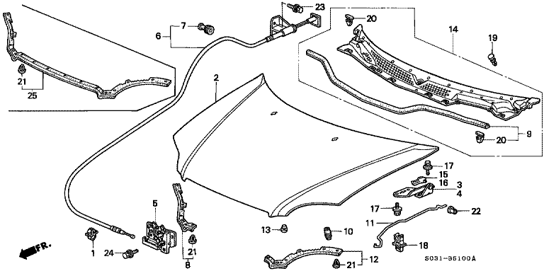 Bonnet