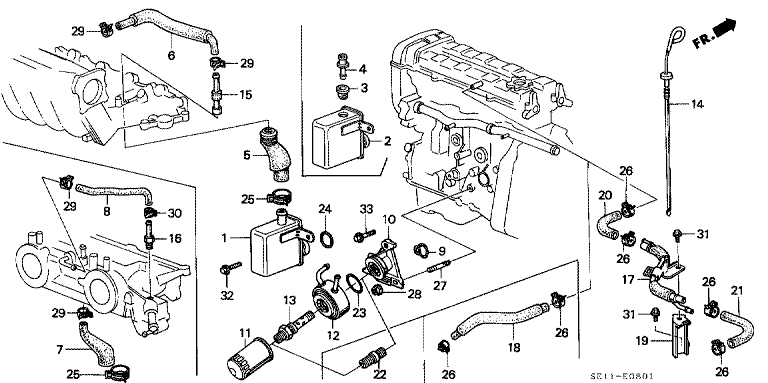 Breather chamber/oil filter (DOHC)