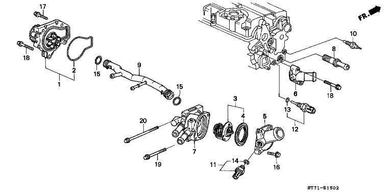 Water pump/sensor (DOHC) (TYPE R)