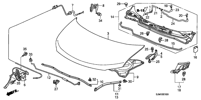 Bonnet