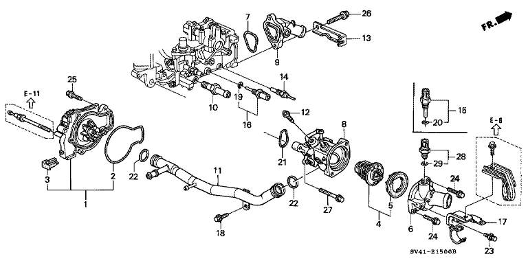 Water pump/sensor (SOHC)