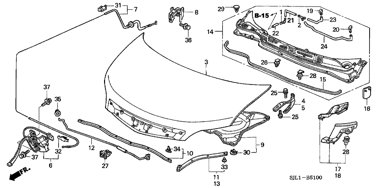 Bonnet