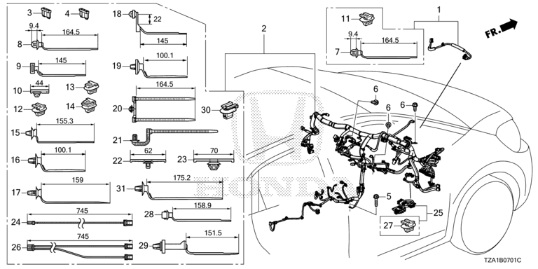 Wire harness (2)
