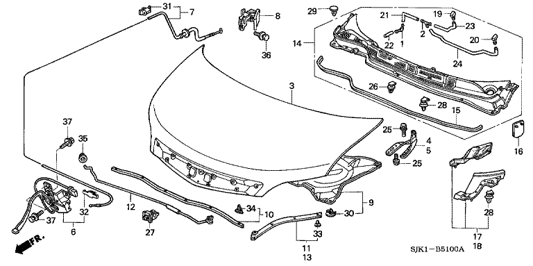 Bonnet