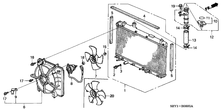 Radiator (Oriental radiator)