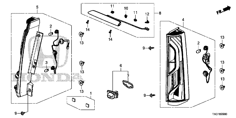 Tail Light/License Light