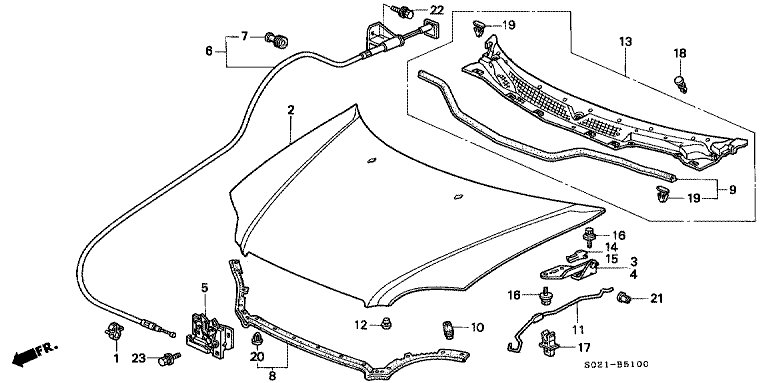Bonnet