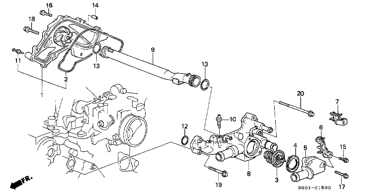 Water pump/thermostat