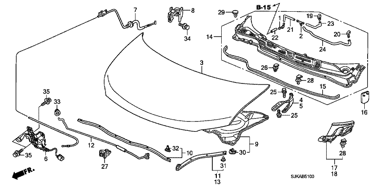 Bonnet