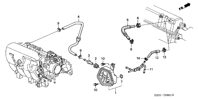 Breather Tube (SOHC VTEC)