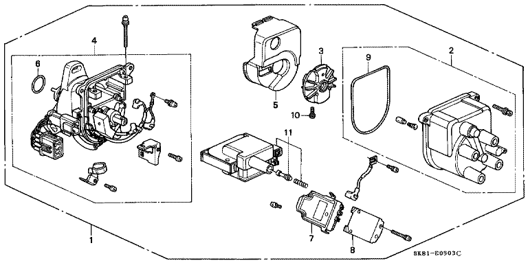 Distributor (TEC)
