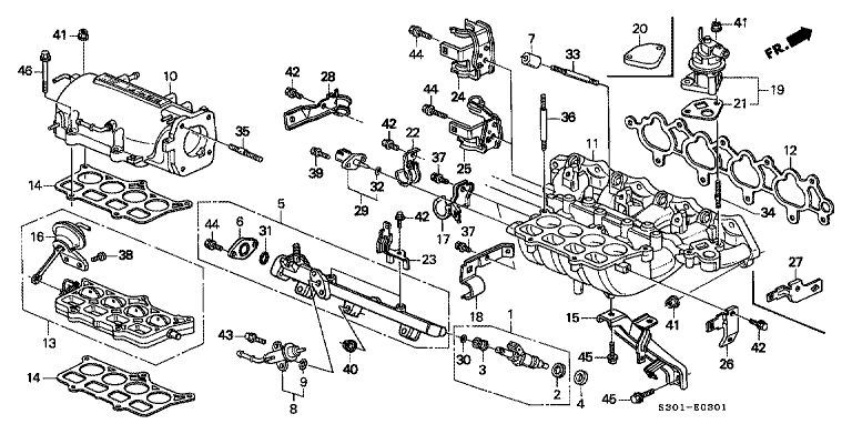Intake Manifold (DOHC)
