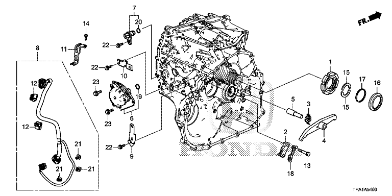 Parking gear/Parking actuator