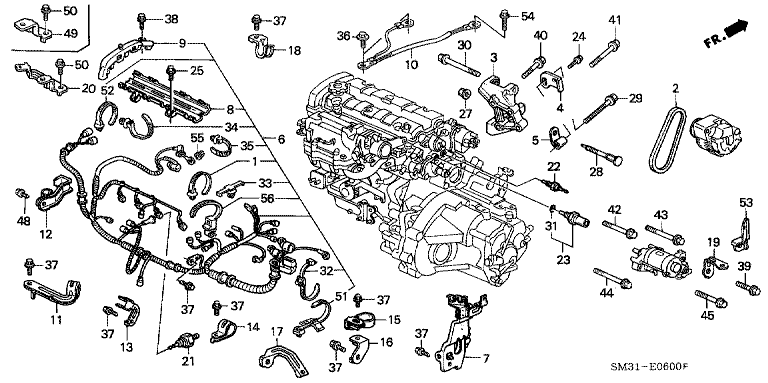 Engine Wire Harness