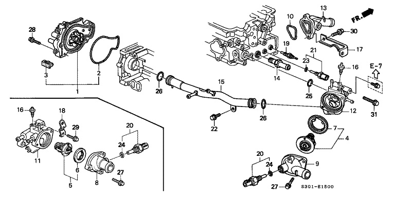 Water Pump/Sensor
