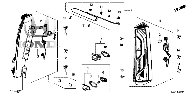 Tail Light/License Light