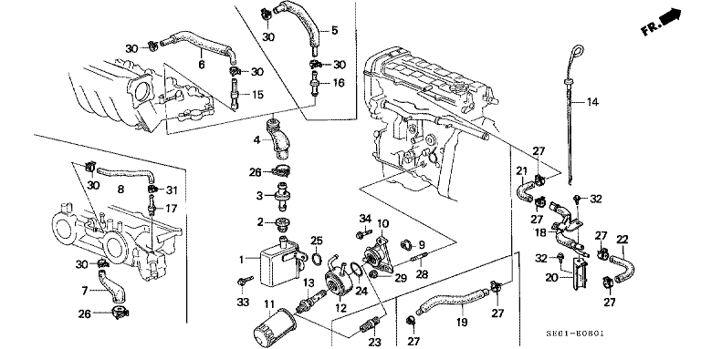 Breather chamber/oil filter (DOHC)