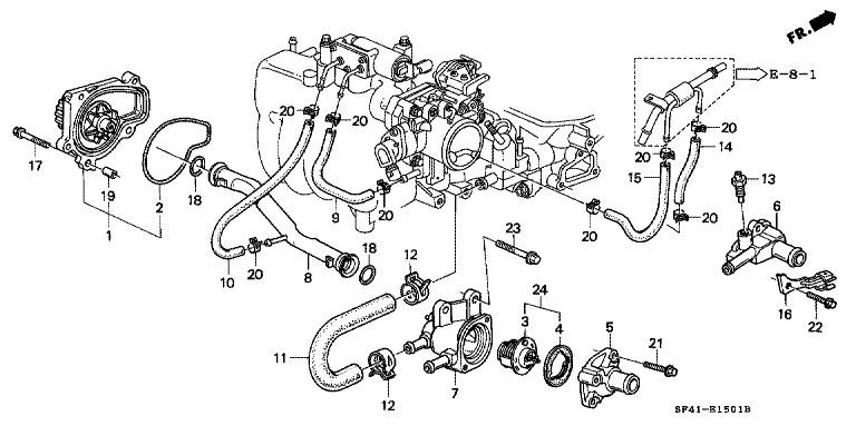 Water pump/Thermostat (PGM-FI)