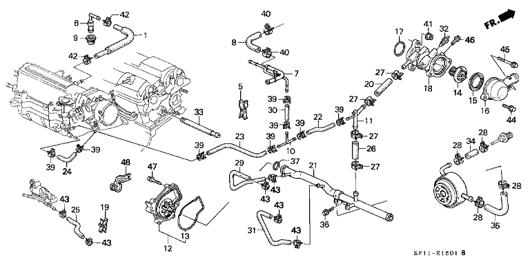 Water Pump/Water Hose (PGM-FI)