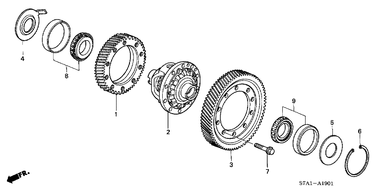 Differential (4WD)