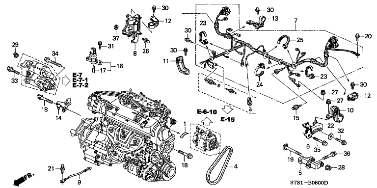 Engine Wire Harness (SOHC) (Carburetor)