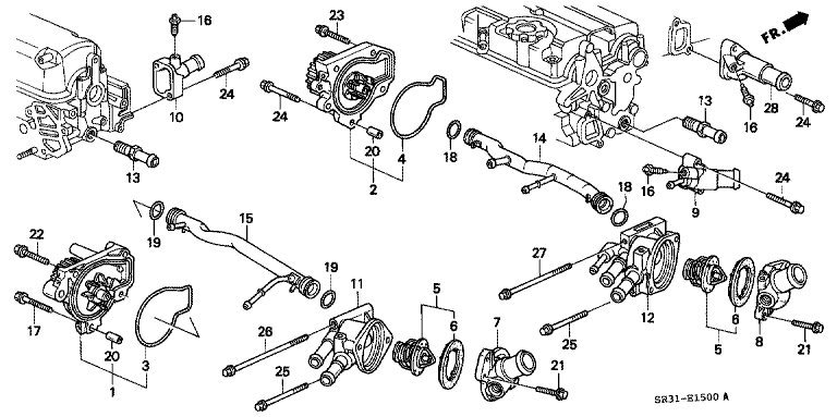 Water pump