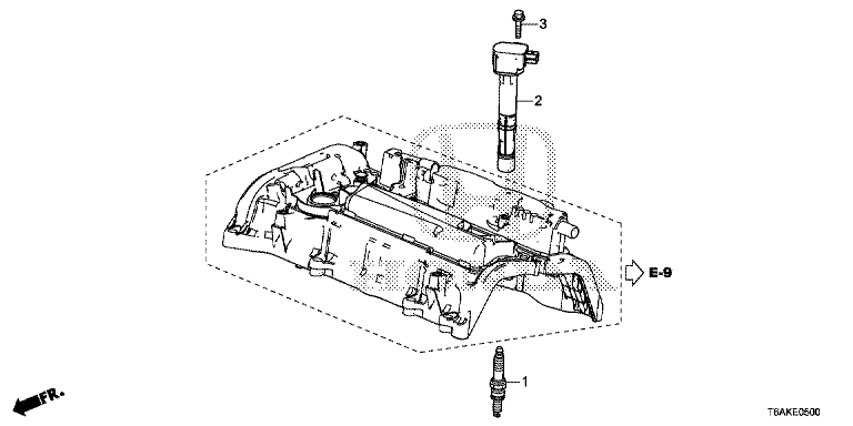 Plug Hole Coil