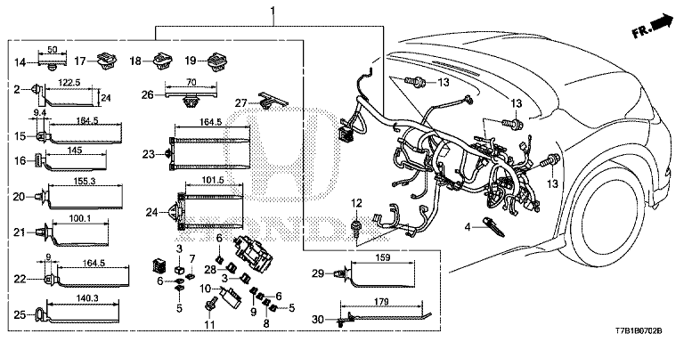 Wire harness (3)