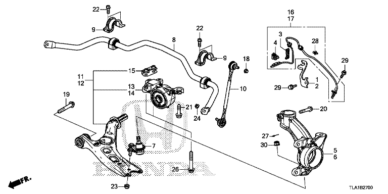 Front knuckle/front lower arm