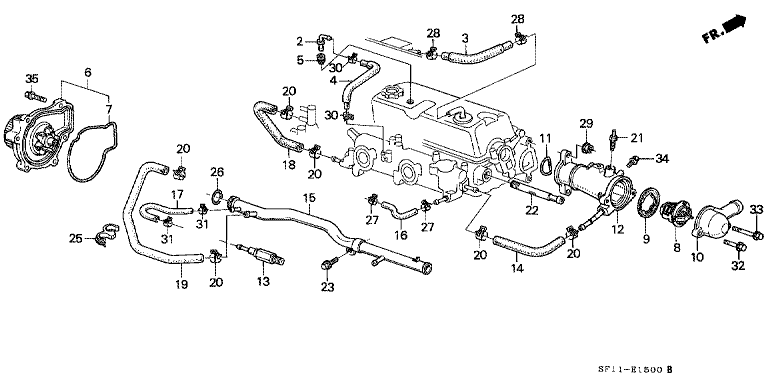 Water pump/water hose (carburetor)