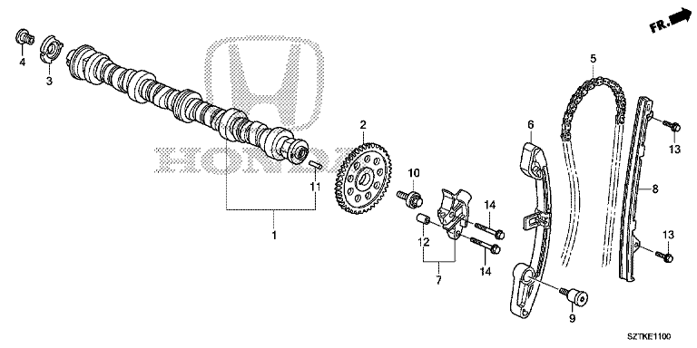 Camshaft/cam chain