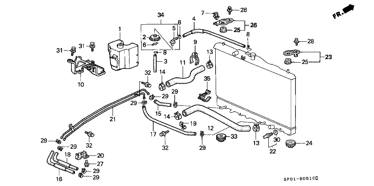 Radiator hose