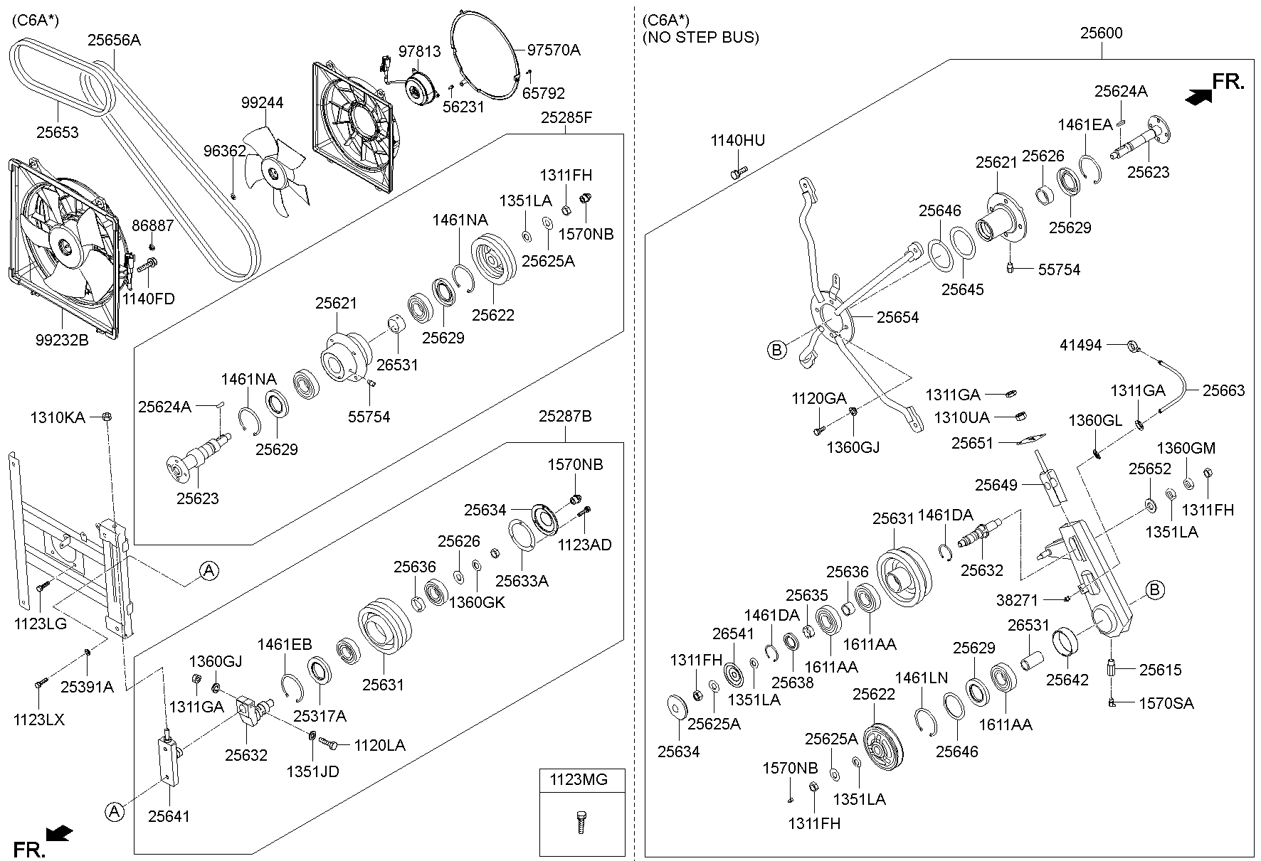Radiator Hose
