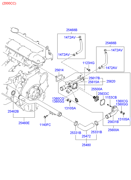 Coolant Pipe & Hose