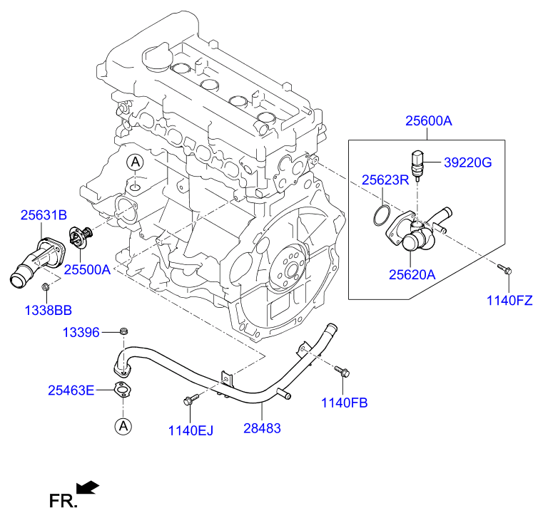 Coolant Pipe & Hose