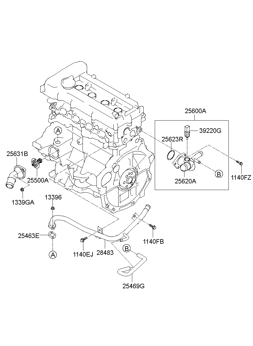 Coolant Pipe & Hose