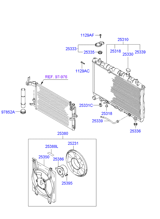 Radiator Hose