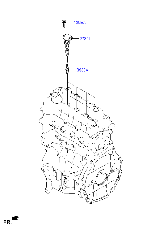 Spark Plug, Cable